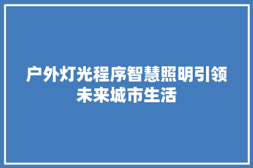 户外灯光程序智慧照明引领未来城市生活