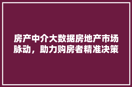 房产中介大数据房地产市场脉动，助力购房者精准决策