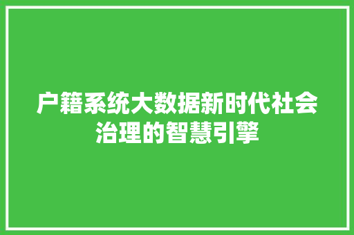户籍系统大数据新时代社会治理的智慧引擎
