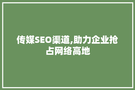 传媒SEO渠道,助力企业抢占网络高地