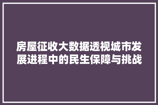 房屋征收大数据透视城市发展进程中的民生保障与挑战