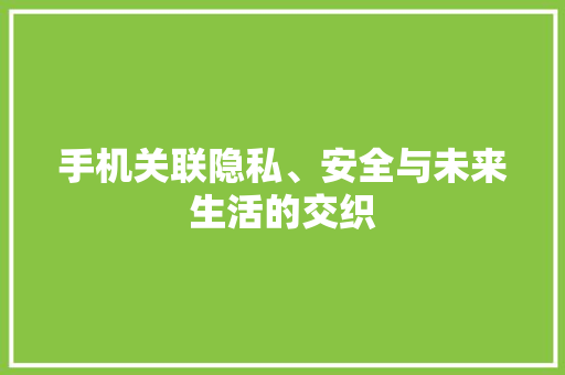 手机关联隐私、安全与未来生活的交织