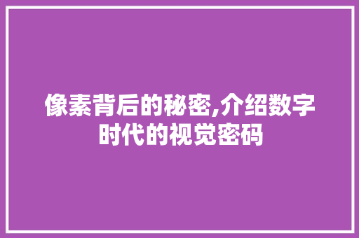 像素背后的秘密,介绍数字时代的视觉密码