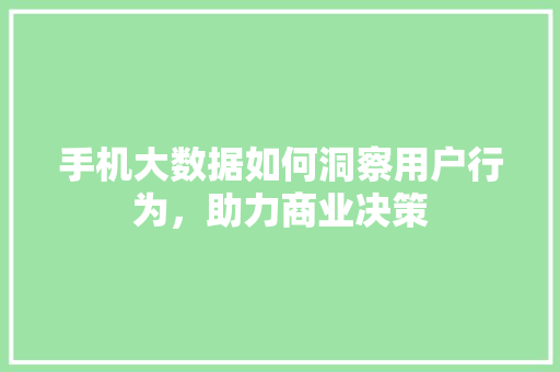 手机大数据如何洞察用户行为，助力商业决策