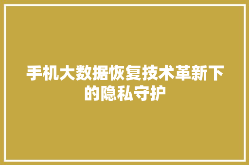 手机大数据恢复技术革新下的隐私守护
