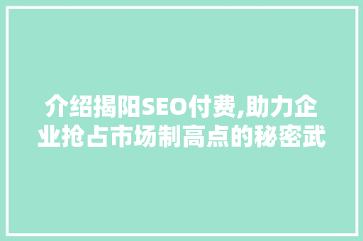 介绍揭阳SEO付费,助力企业抢占市场制高点的秘密武器
