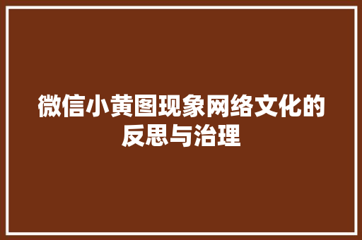 微信小黄图现象网络文化的反思与治理