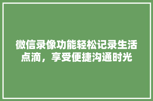微信录像功能轻松记录生活点滴，享受便捷沟通时光 MySQL