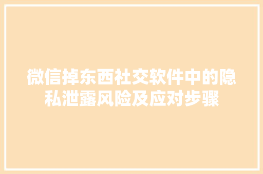 微信掉东西社交软件中的隐私泄露风险及应对步骤