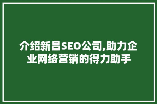 介绍新昌SEO公司,助力企业网络营销的得力助手