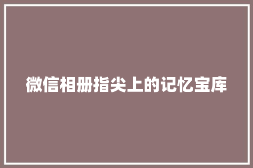 微信相册指尖上的记忆宝库