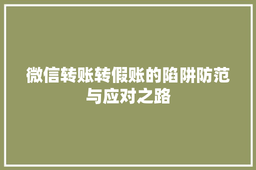 微信转账转假账的陷阱防范与应对之路