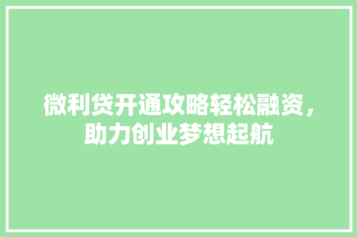 微利贷开通攻略轻松融资，助力创业梦想起航