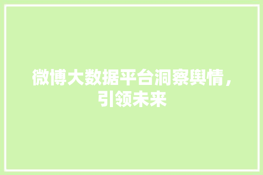微博大数据平台洞察舆情，引领未来