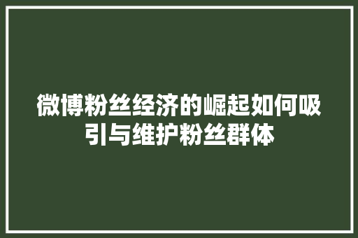 微博粉丝经济的崛起如何吸引与维护粉丝群体