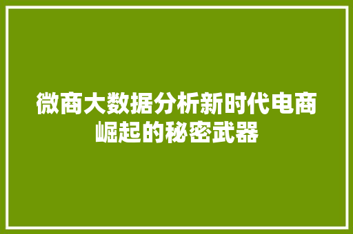 微商大数据分析新时代电商崛起的秘密武器