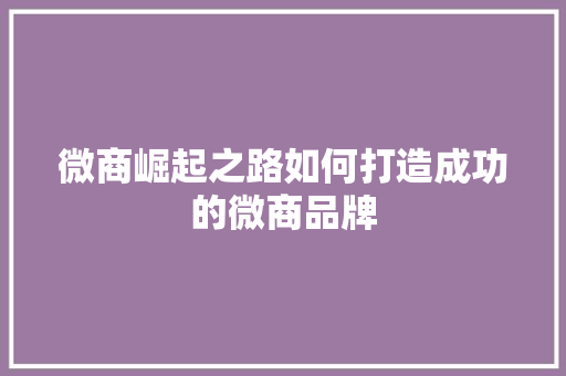 微商崛起之路如何打造成功的微商品牌
