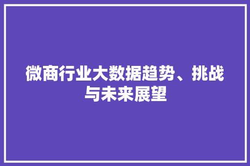 微商行业大数据趋势、挑战与未来展望