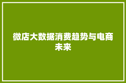 微店大数据消费趋势与电商未来