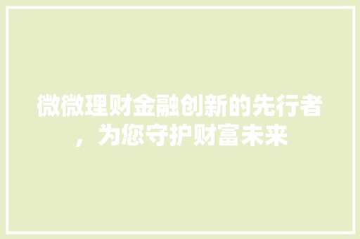 微微理财金融创新的先行者，为您守护财富未来