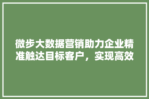 微步大数据营销助力企业精准触达目标客户，实现高效营销