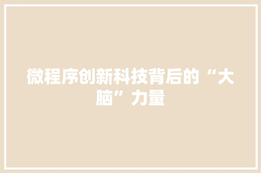 微程序创新科技背后的“大脑”力量