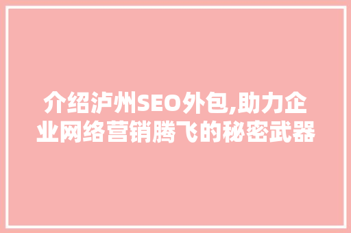 介绍泸州SEO外包,助力企业网络营销腾飞的秘密武器