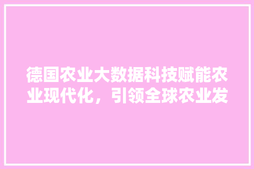 德国农业大数据科技赋能农业现代化，引领全球农业发展新潮流