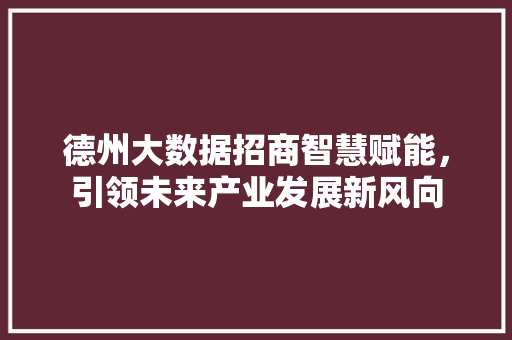 德州大数据招商智慧赋能，引领未来产业发展新风向