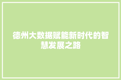 德州大数据赋能新时代的智慧发展之路