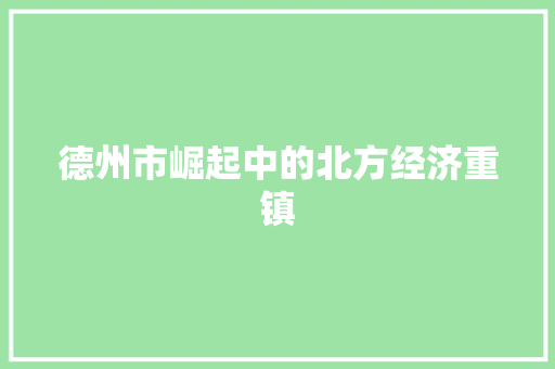 德州市崛起中的北方经济重镇
