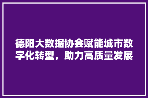 德阳大数据协会赋能城市数字化转型，助力高质量发展