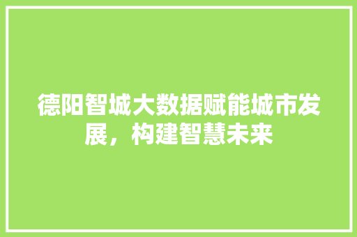 德阳智城大数据赋能城市发展，构建智慧未来