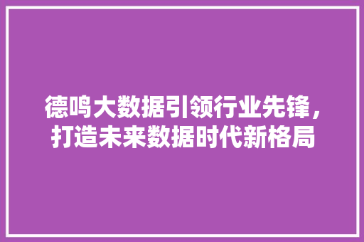 德鸣大数据引领行业先锋，打造未来数据时代新格局