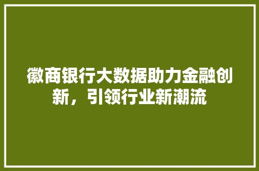 徽商银行大数据助力金融创新，引领行业新潮流