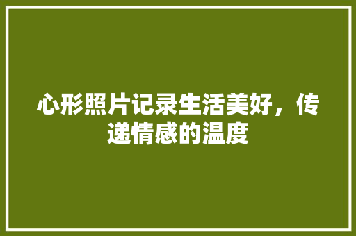 心形照片记录生活美好，传递情感的温度