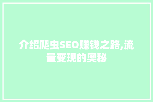 介绍爬虫SEO赚钱之路,流量变现的奥秘 响应式设计