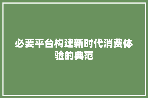 必要平台构建新时代消费体验的典范
