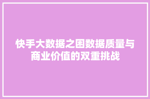 快手大数据之困数据质量与商业价值的双重挑战