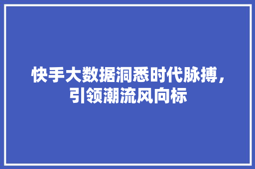快手大数据洞悉时代脉搏，引领潮流风向标
