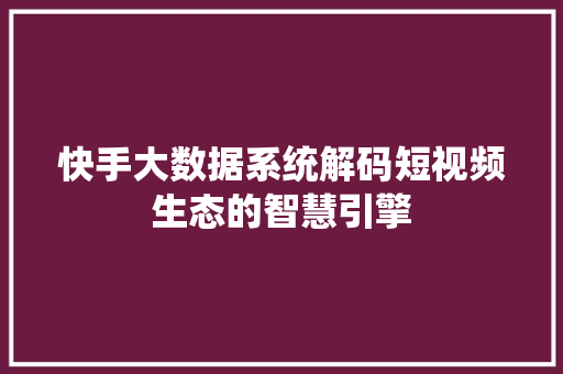 快手大数据系统解码短视频生态的智慧引擎