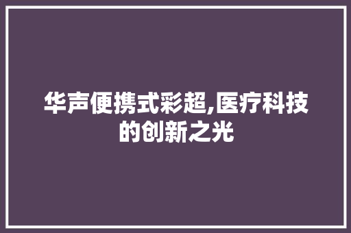 华声便携式彩超,医疗科技的创新之光