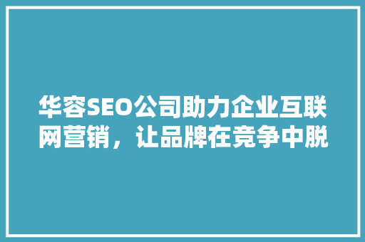 华容SEO公司助力企业互联网营销，让品牌在竞争中脱颖而出