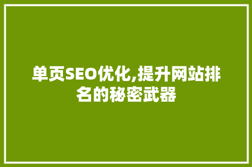 单页SEO优化,提升网站排名的秘密武器 MySQL