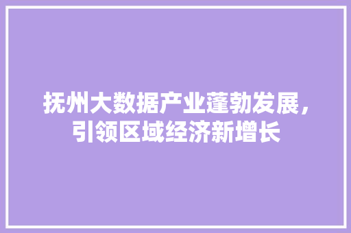 抚州大数据产业蓬勃发展，引领区域经济新增长