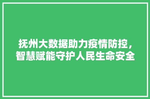 抚州大数据助力疫情防控，智慧赋能守护人民生命安全