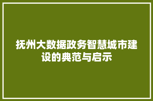 抚州大数据政务智慧城市建设的典范与启示