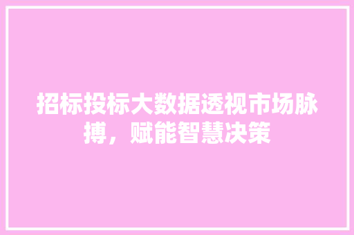 招标投标大数据透视市场脉搏，赋能智慧决策
