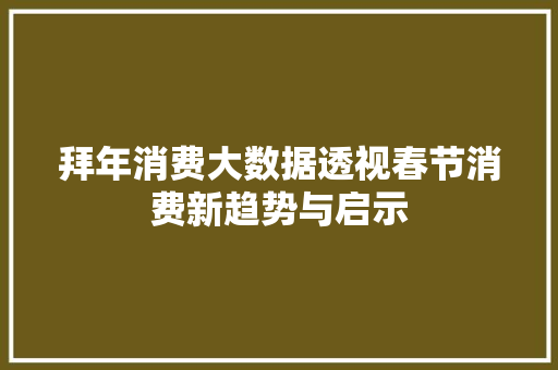 拜年消费大数据透视春节消费新趋势与启示