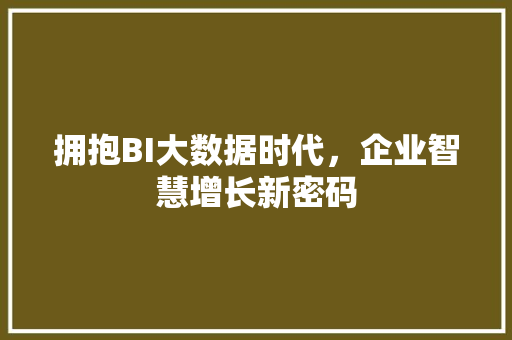 拥抱BI大数据时代，企业智慧增长新密码